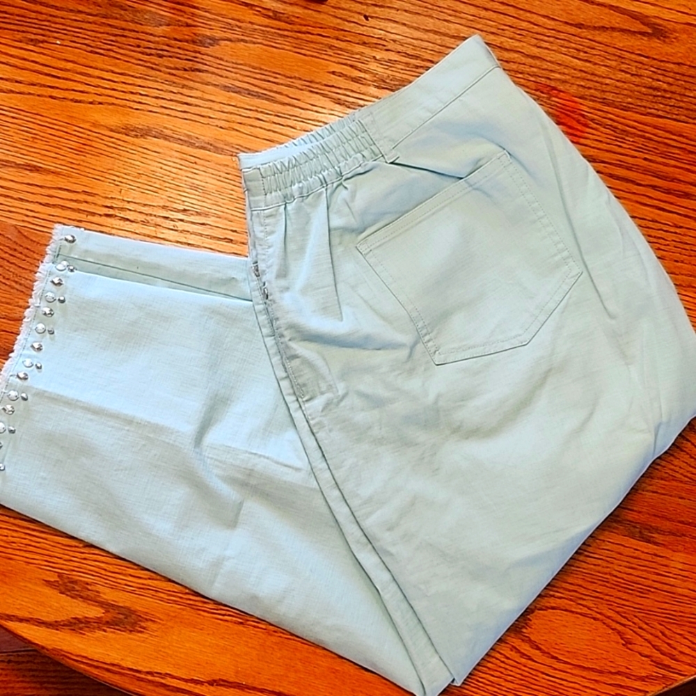 Ruby Rd. Light Blue Capri - image 1